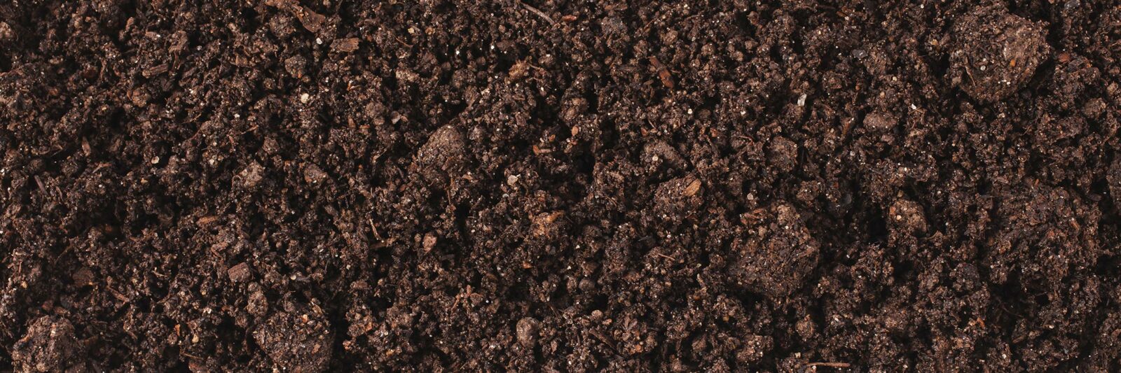soil