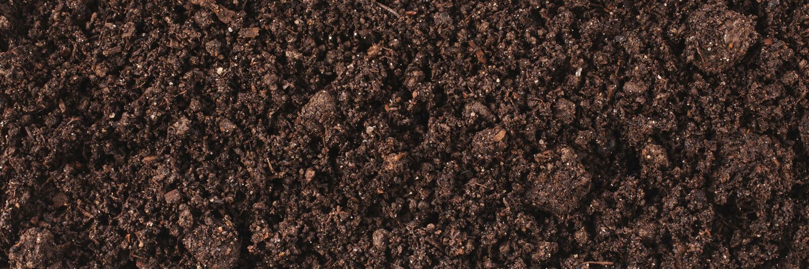 soil